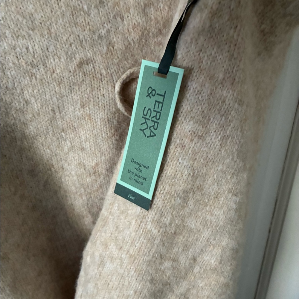 Terra & Sky Soft Beige Crew Neck Sweater - Picture 3 of 6